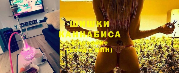 дурь Рославль
