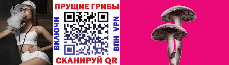 kraken ссылки  Новосибирск  Галлюциногенные грибы прущие грибы 