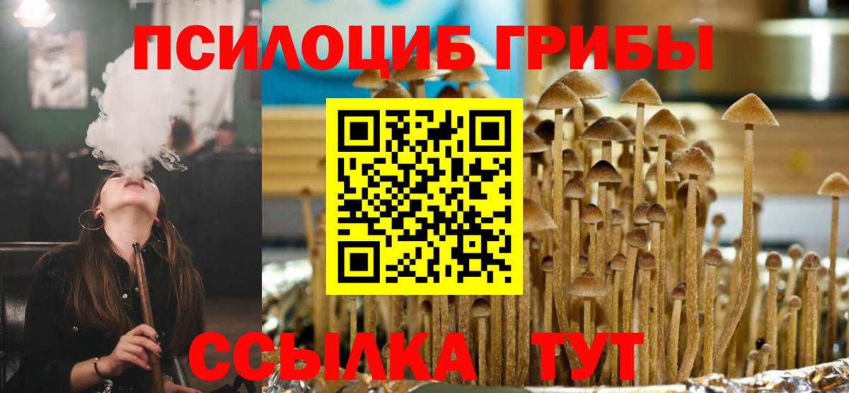 Галлюциногенные грибы Psilocybine cubensis Новосибирск