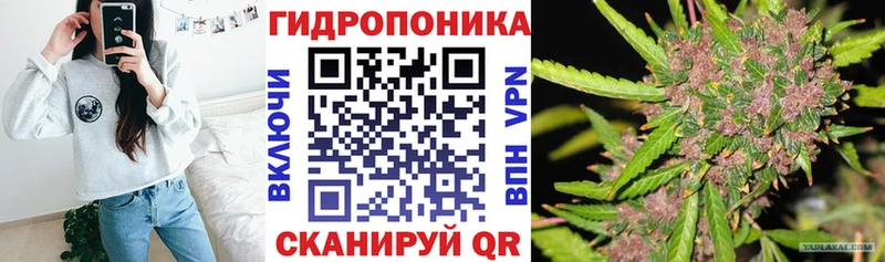 Конопля OG Kush  Новосибирск 